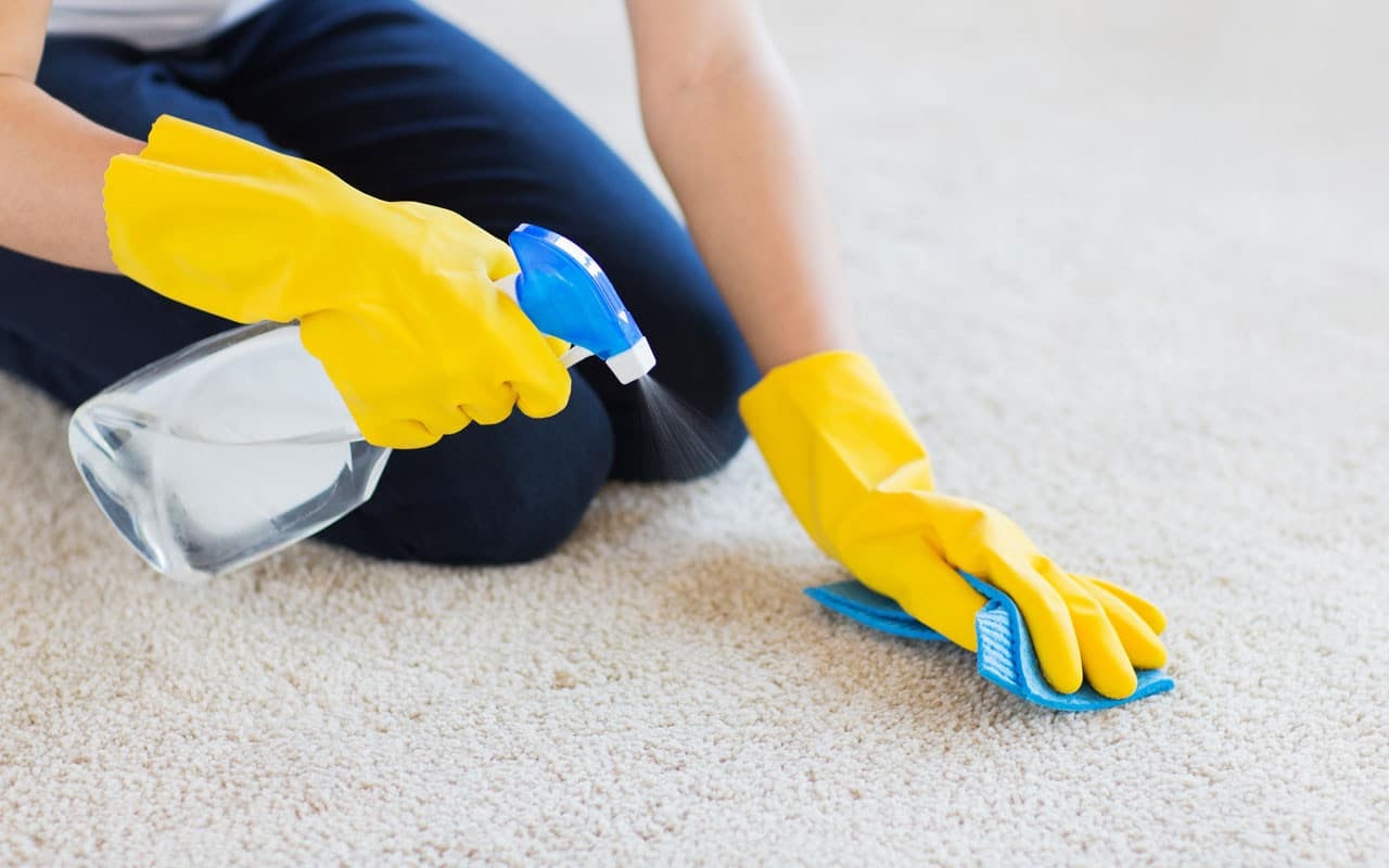 أسعار شركة تنظيف سجاد العين