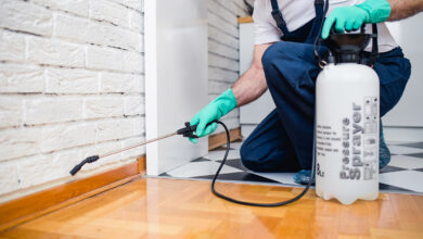 أسعار شركة مكافحة السحالي في ابوظبي