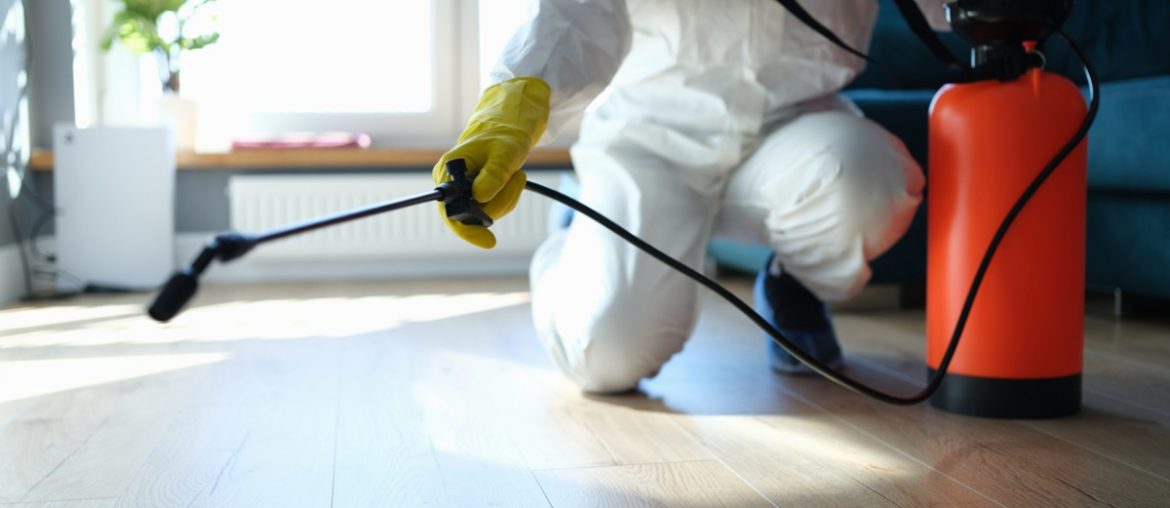 احسن شركة مكافحة البرص في ام القيوين