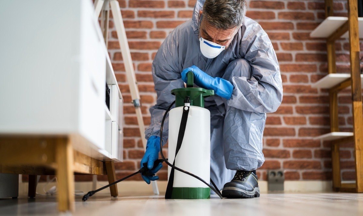 افضل شركة مكافحة السحالي في دبي