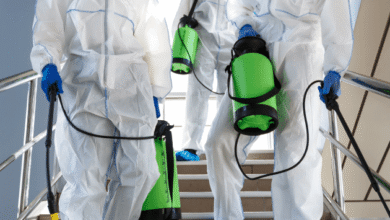 شركة مكافحة السحالي في دبي