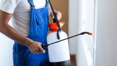 شركة مكافحة الرمة في راس الخيمة