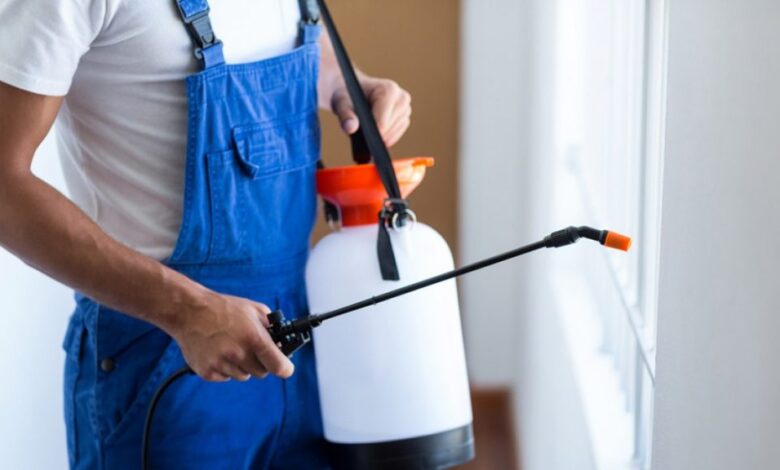 شركة مكافحة الرمة في راس الخيمة