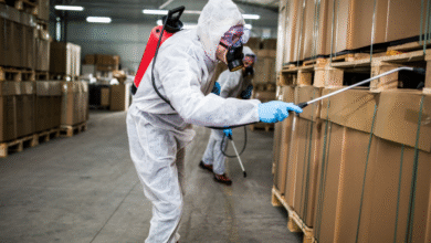 شركة مكافحة الصراصير في ام القيوين