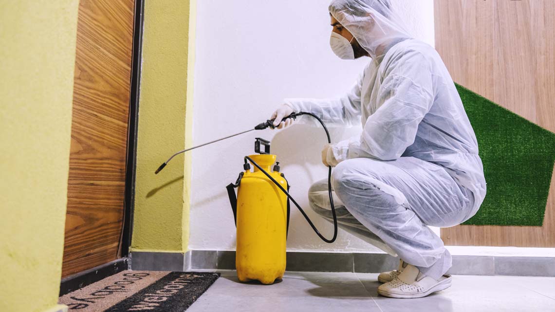 أقرب شركة مكافحة النمل الأسود في الفجيرة