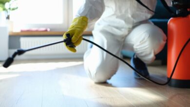 احسن شركة مكافحة السحالي في ام القيوين