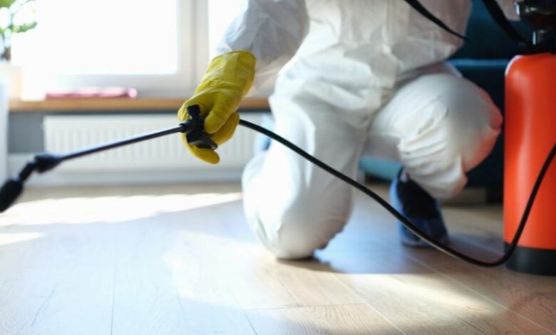 احسن شركة مكافحة السحالي في ام القيوين