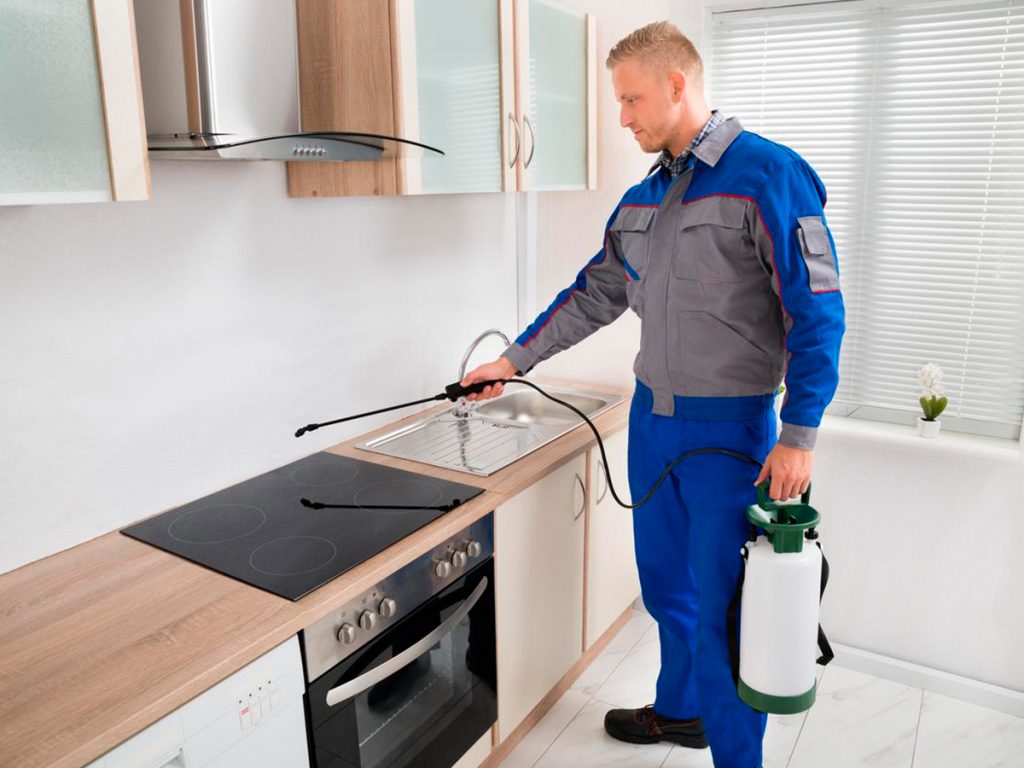 ارخص شركة مكافحة البعوض في ام القيوين