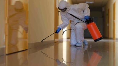 شركة مكافحة الحشرات في الفجيرة