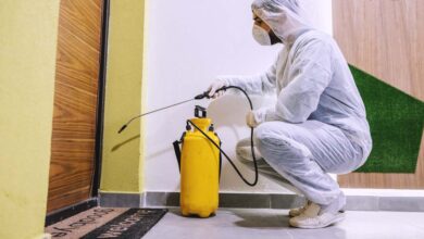 شركة مكافحة الصراصير في الفجيرة