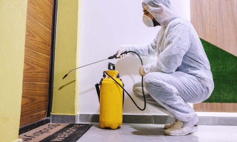 شركة مكافحة الصراصير في الفجيرة